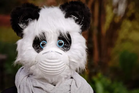 Casino Fairground Slots Suporte